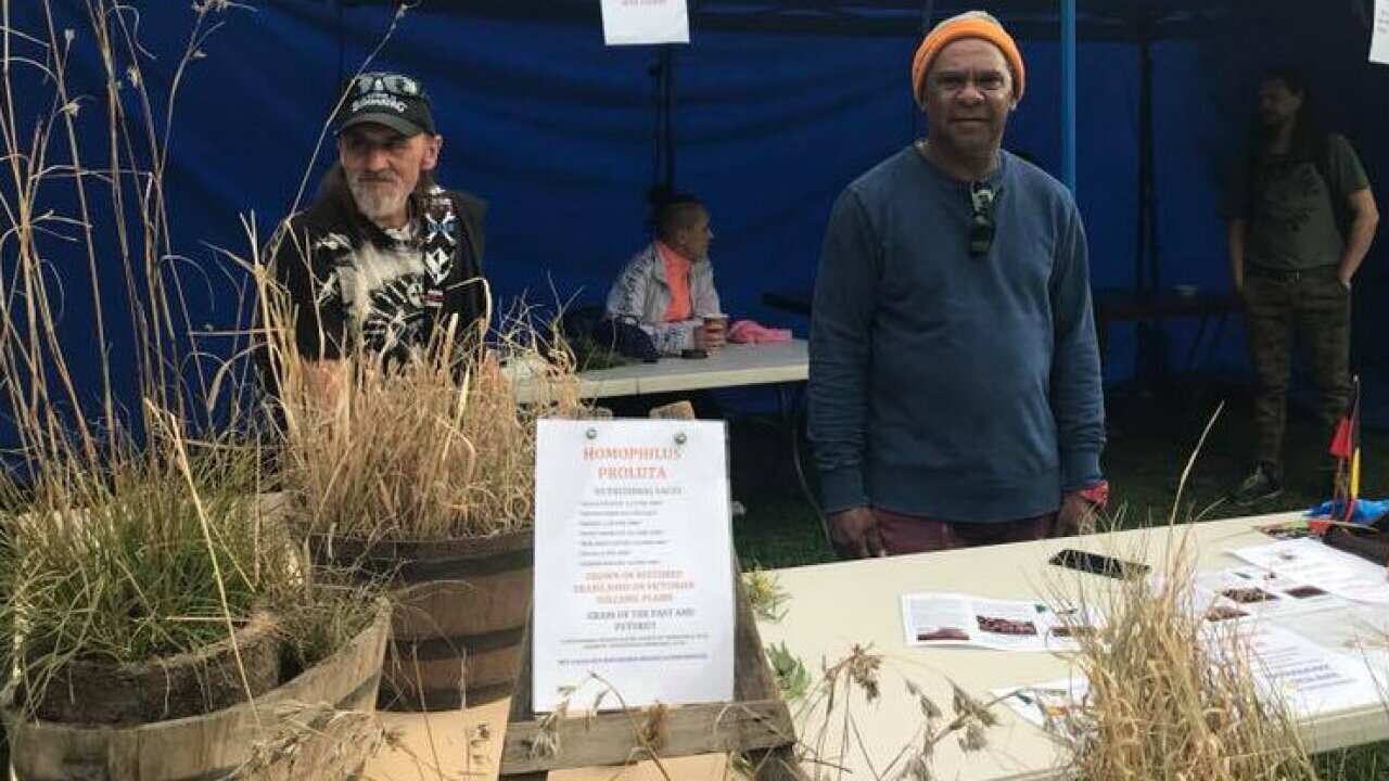 Kurnai basket weaver Aunty Helen Brotherton teaching her craft at Reconciliation in the Park 2018 Johnstone Park Geelong 27/05/2018.