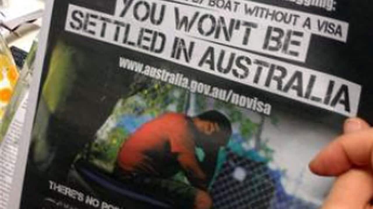 asylum_ads_336170876