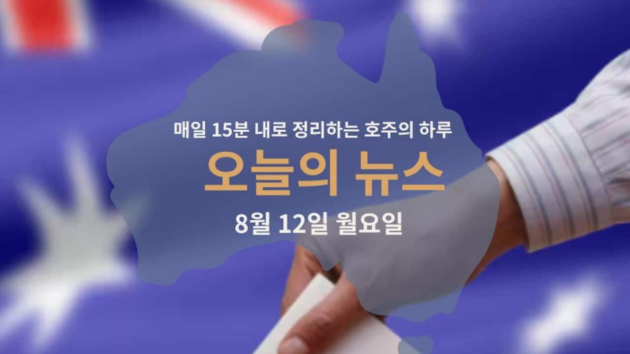 12082024_오늘의 뉴스