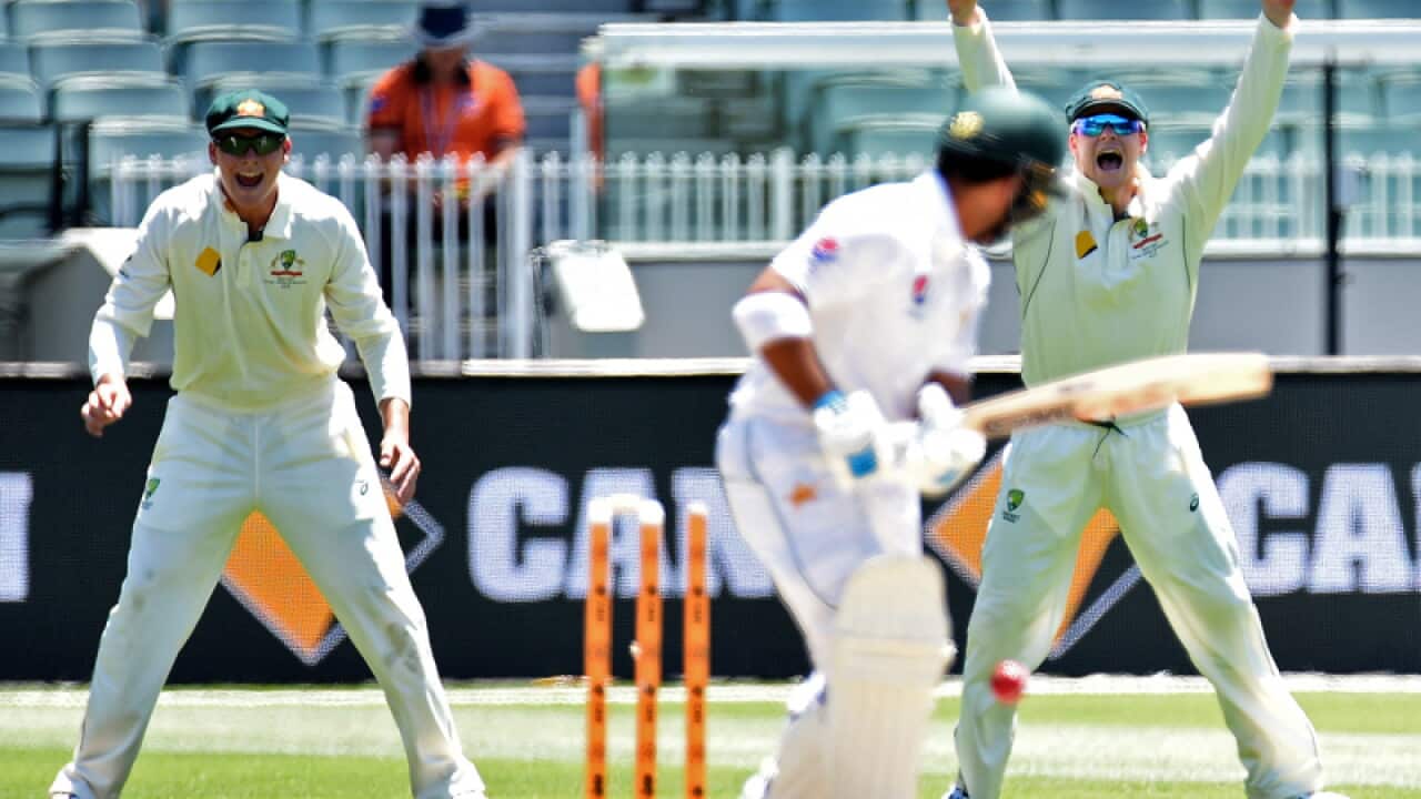 Steve Smith (right) and Matt Renshaw of Australia react