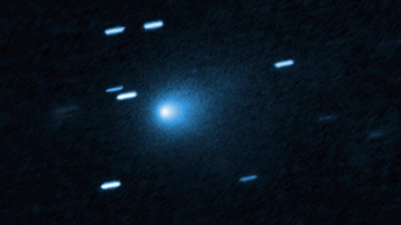 Interstellar Comet