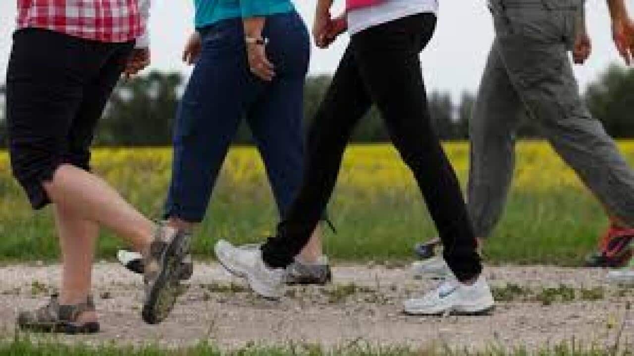 Viva guide - Walking in group