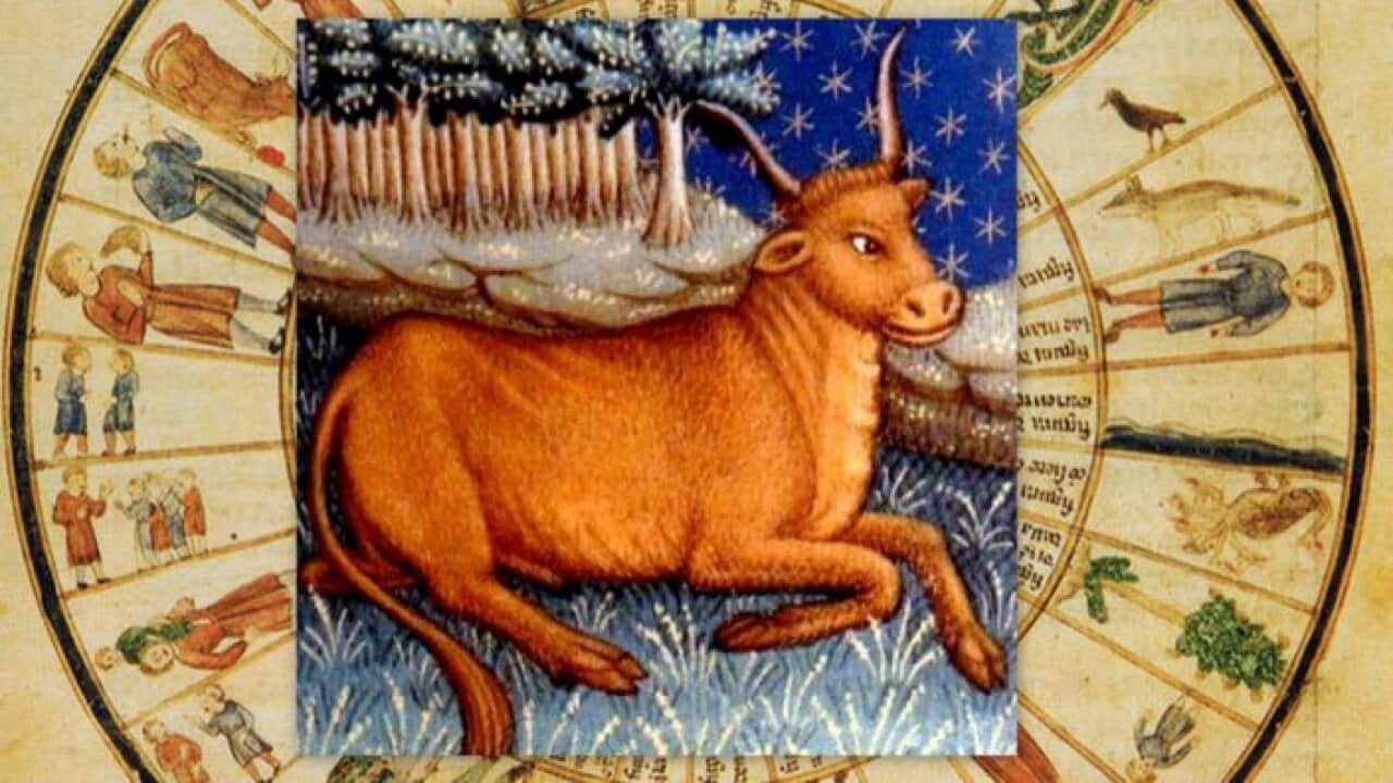 Zodiac Taurus