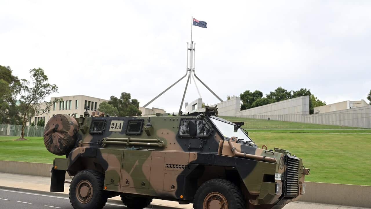 BUSHMASTER PARLIAMENT HOUSE