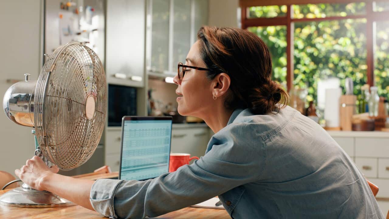 Woman, fan and laptop in home with heat wave as freelance copywriting for remote work, email or kitchen. Female person, mature and menopause in hot weather or apartment appliance, cool air or summer