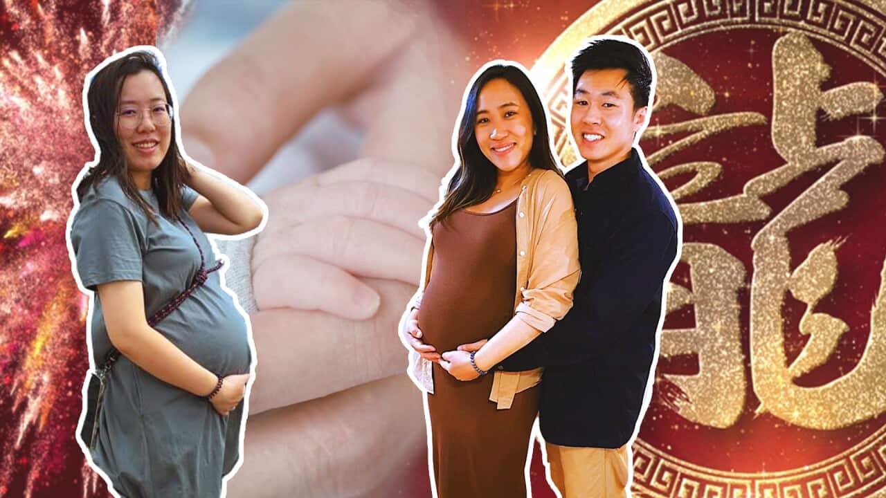 lead photo Dragon Baby Thumbnail.jpg
