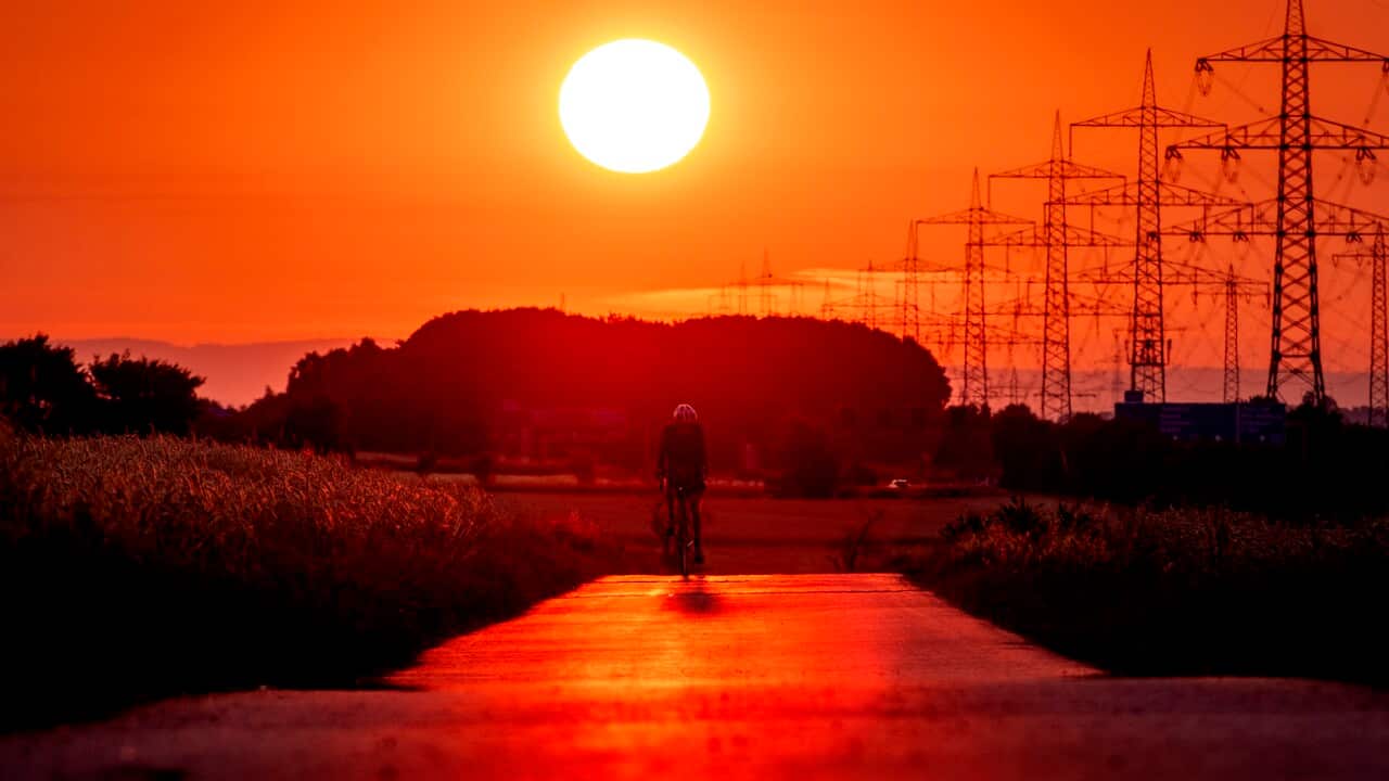 A person riding their bike in the sunset