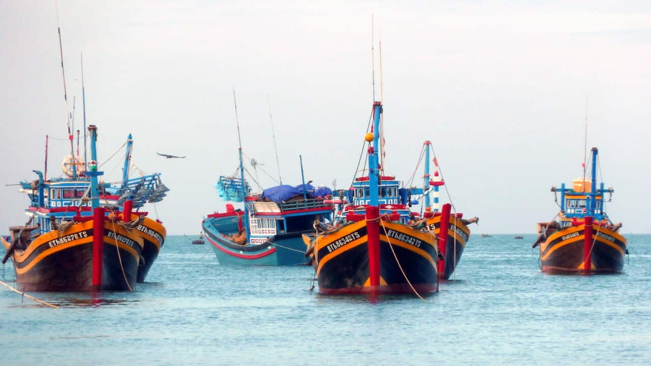 Fishing Boats