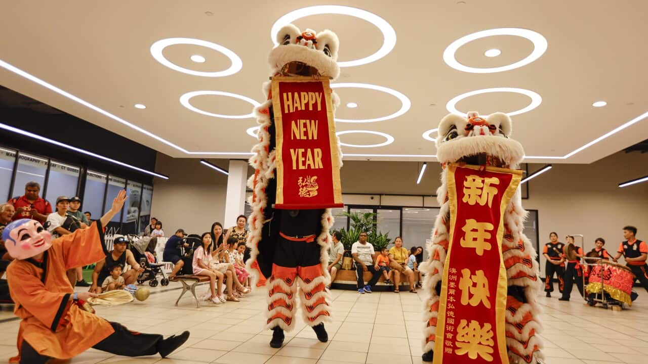 Image for read more article 'READ MORE'