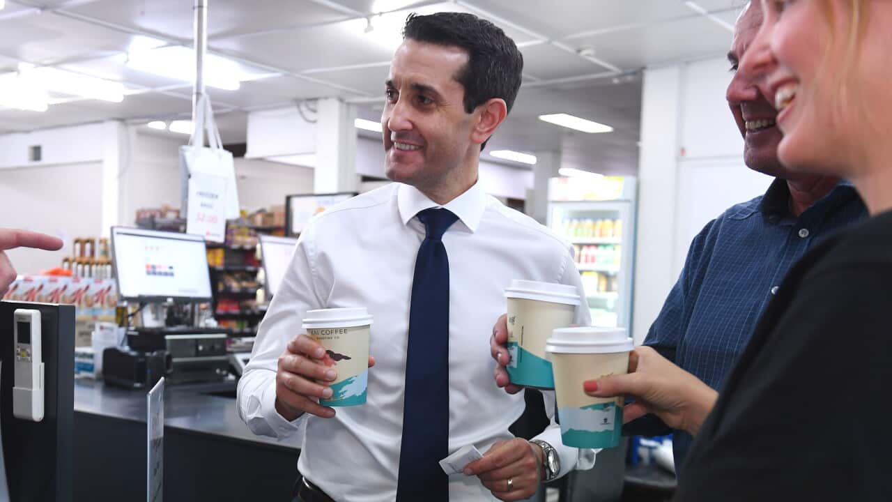 DAVID CRISAFULLI QLD ELECTION CAMPAIGN