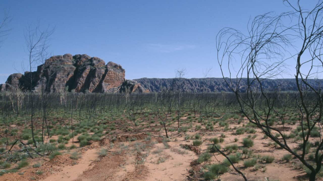 The Kimberley Purnululu National Park in WA