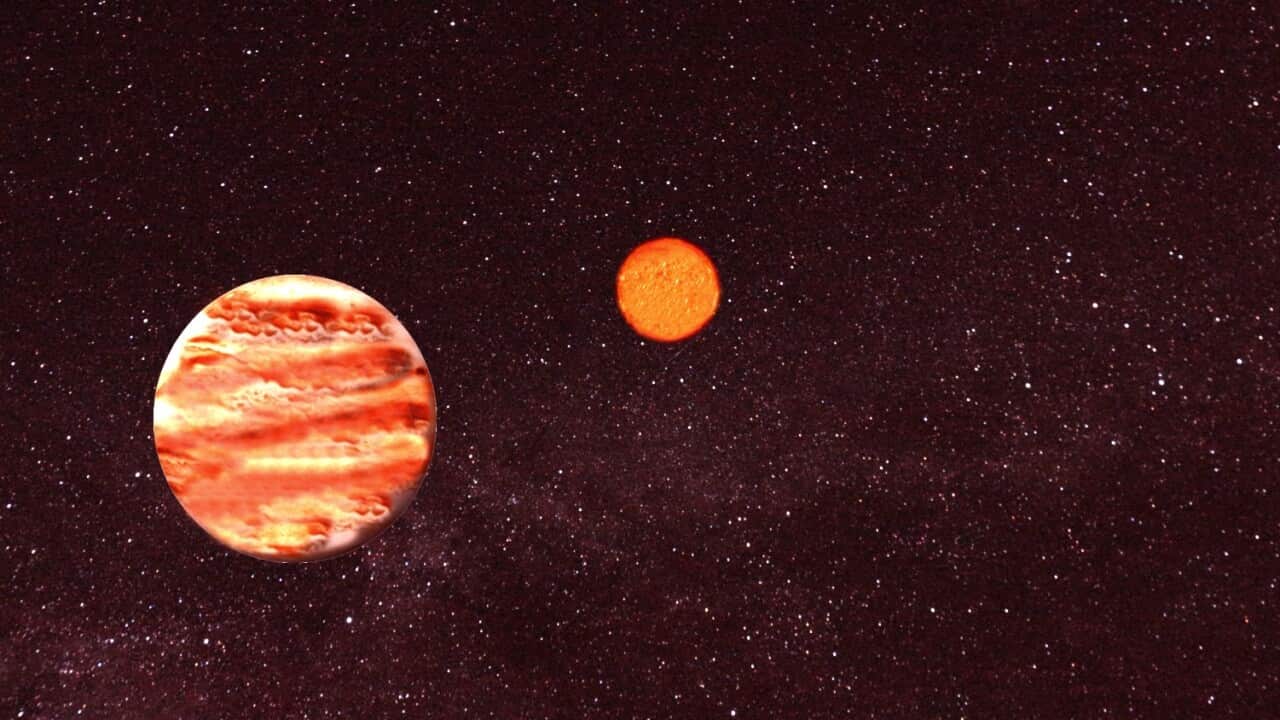 Image for read more article ''