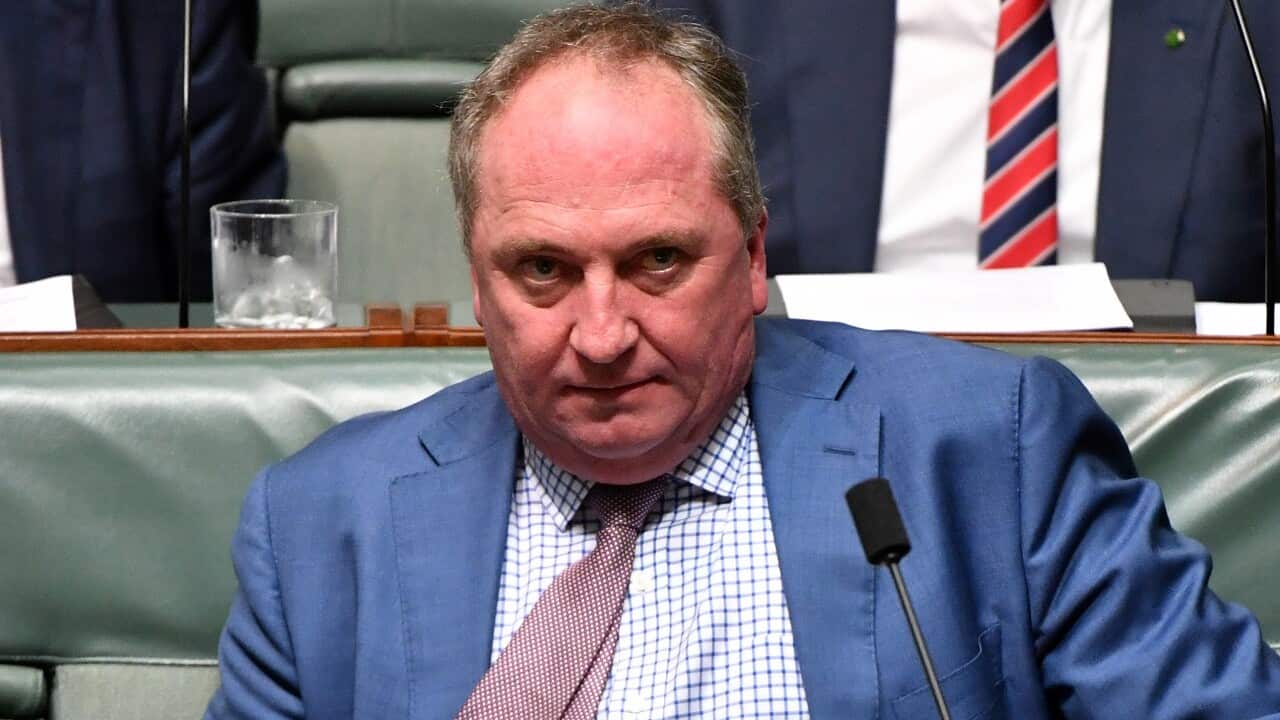 Nationals member for New England Barnaby Joyce during Question Time in the House of Representatives.