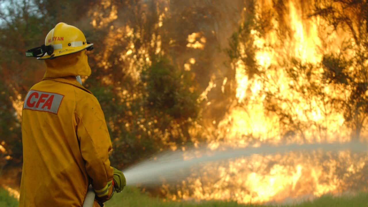 Victoria hasn't built a usable fire refuge since the Black Saturday bushfires, a report has found.