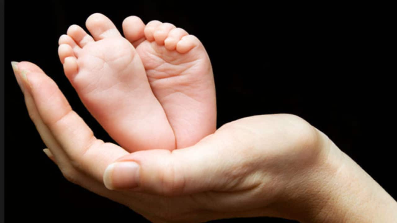 Fertility and birthrate