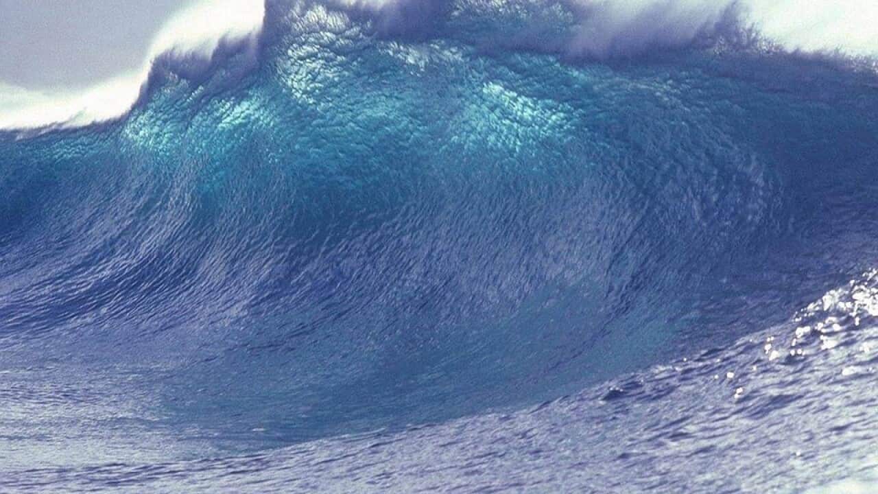 Tsunami-