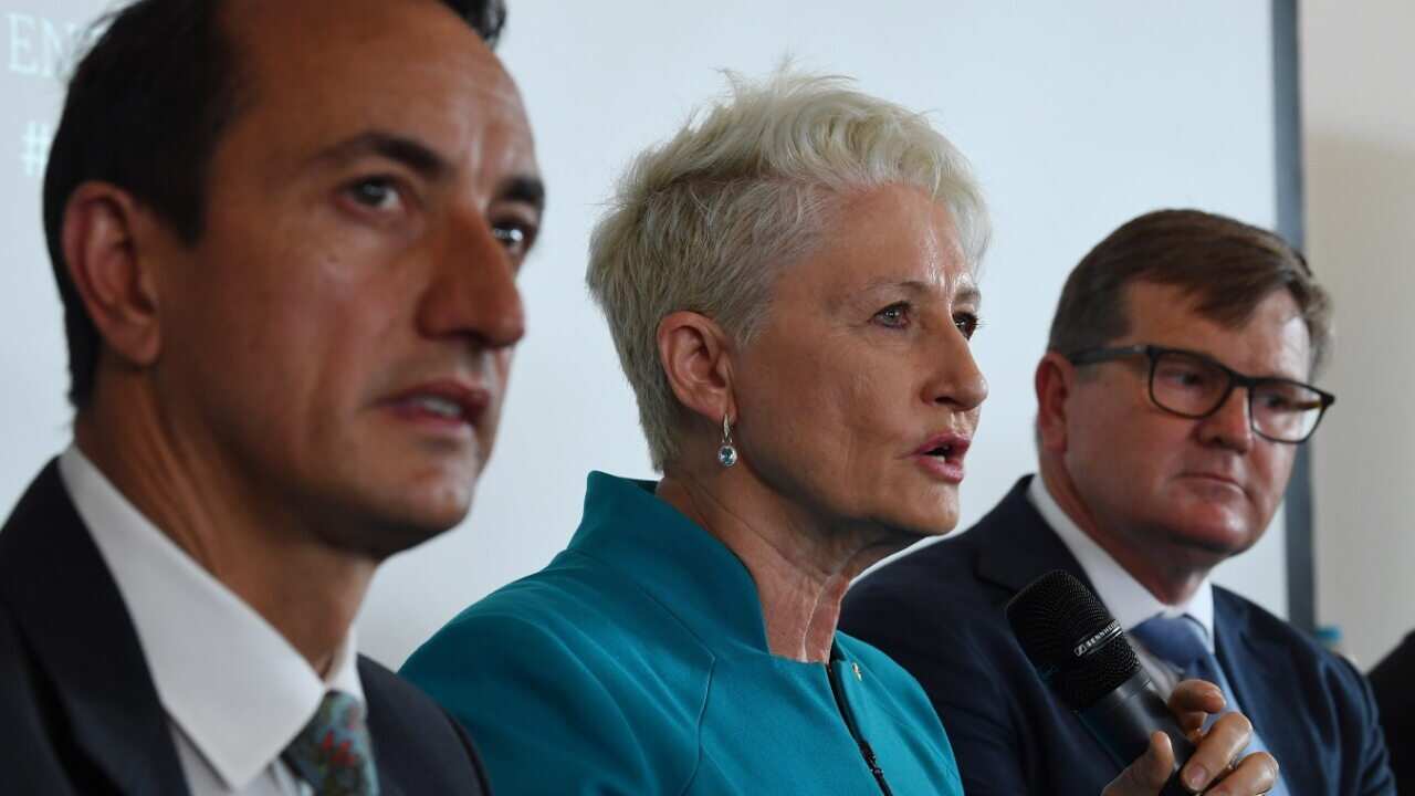 Dave Sharma, Kerryn Phelps and Tim Murray.