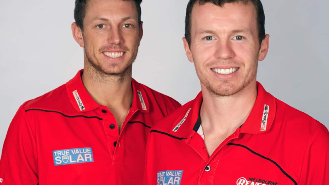 Siddle signs with BBL cricket Renegades