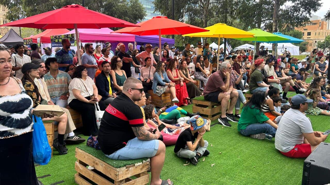 Multicultural Festival.jpeg