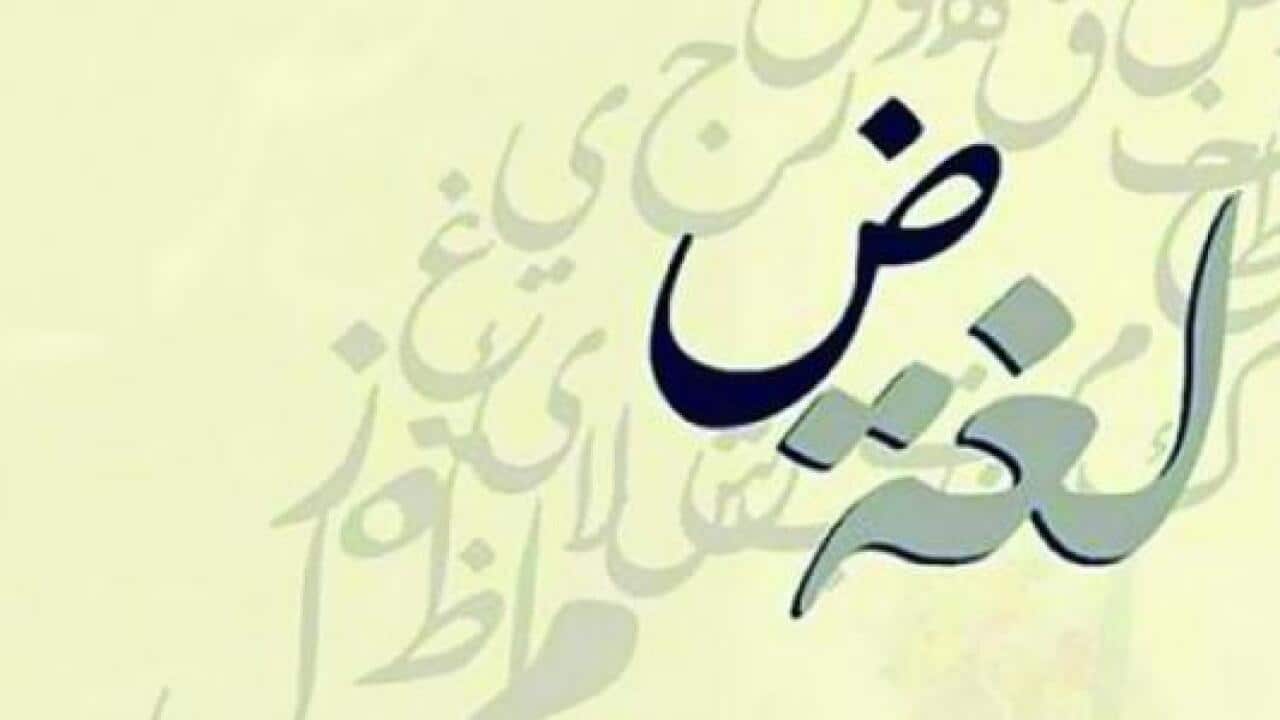 English words that are Originally Arabic