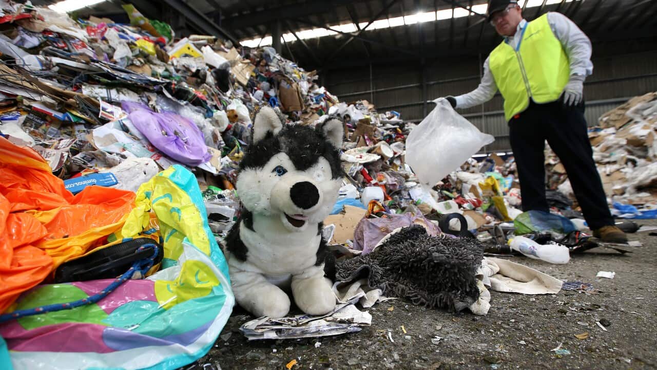 A plush husky toy sits atop a pile of rubbish in a recycling facility while a worker in a high-visibility vest holds a plastic bag in the background.