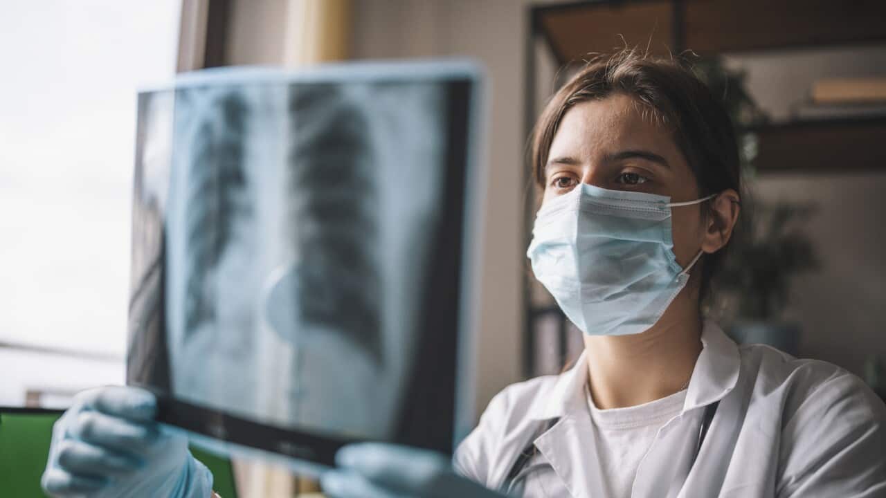 Doctor Analyzing Pulmonary X-Ray Picture