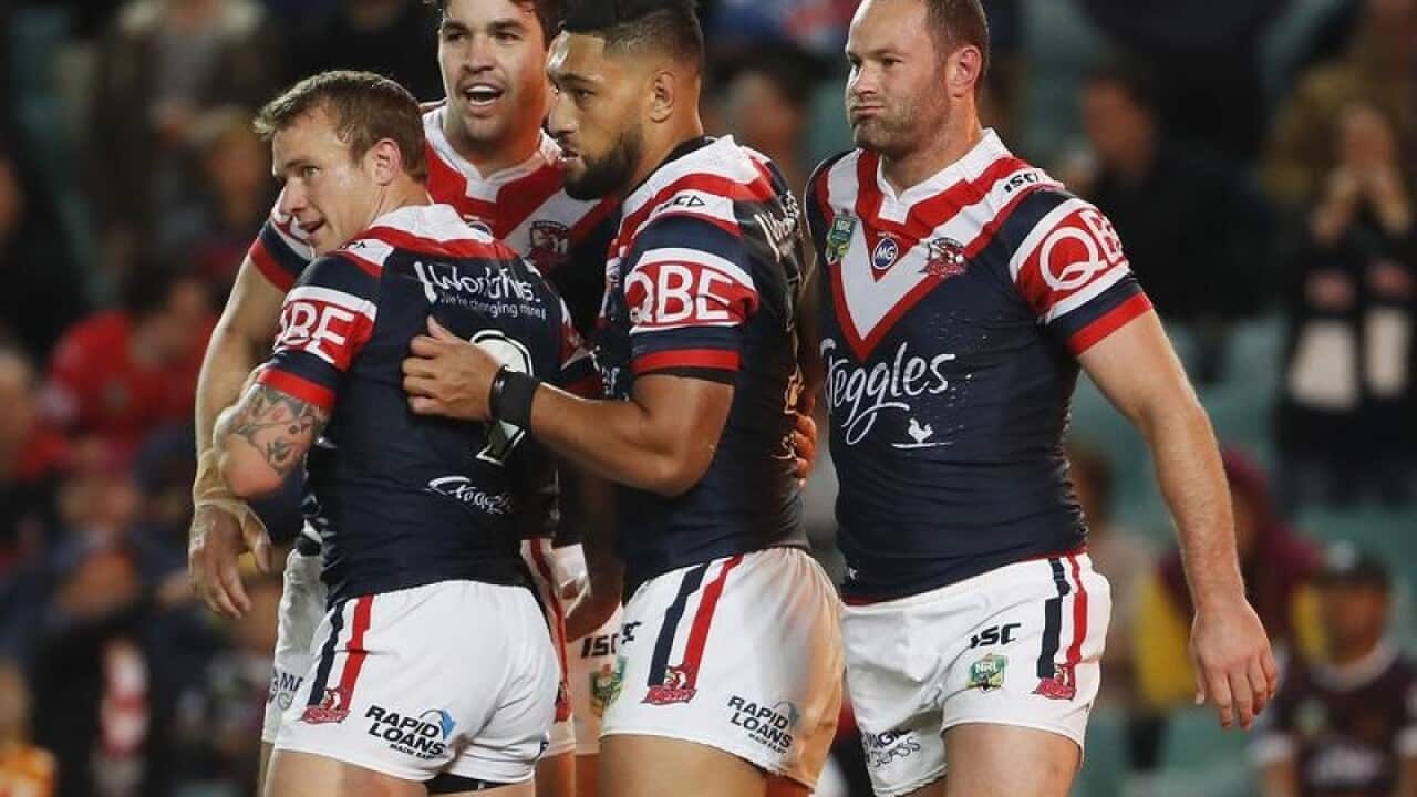 roosters