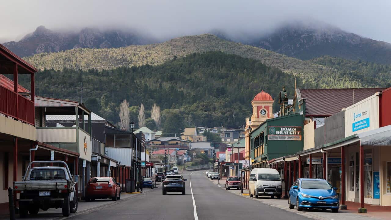 TASMANIA WEST COAST STOCK
