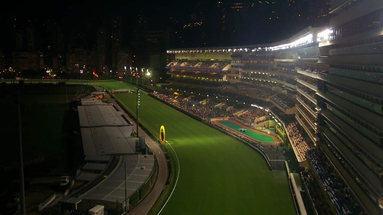 Hong Kong Jockey Club Cancelled Wednesday Night Race