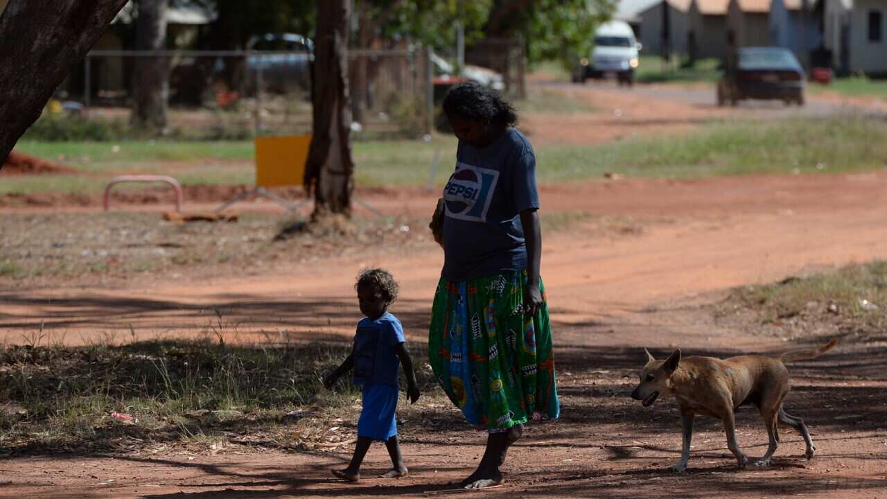 ARNHEM LAND STOCK