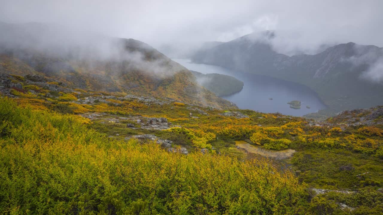 Low hanging cloud above Dove Lake and the autumn fagus trees, Cradle Mountain-Lake St Clair National Park, Tasmania, Australia