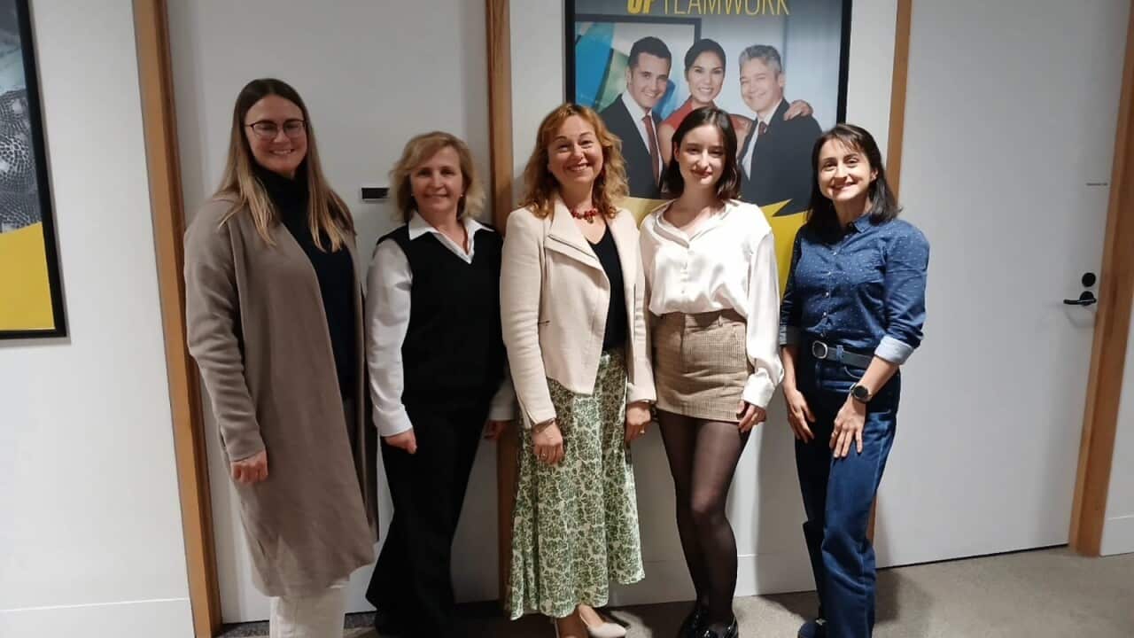 Олена, Оксана Мазур, Олена Радієвська, Аріанна, Анастасія.