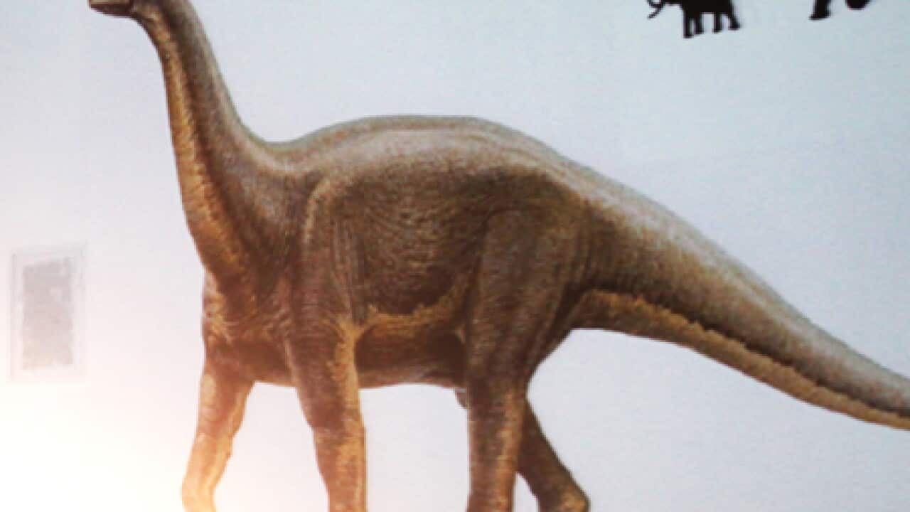 dinosaur_south_africa_091112_L_aap_866498840