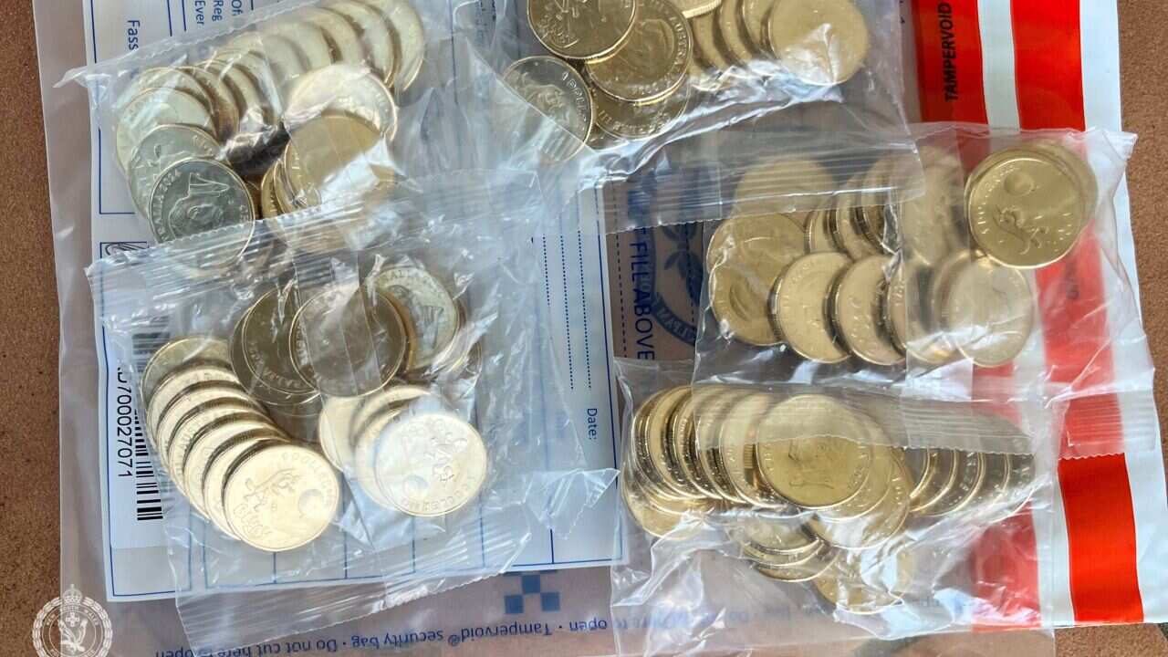 BLUEY COIN BANDIT SYDNEY