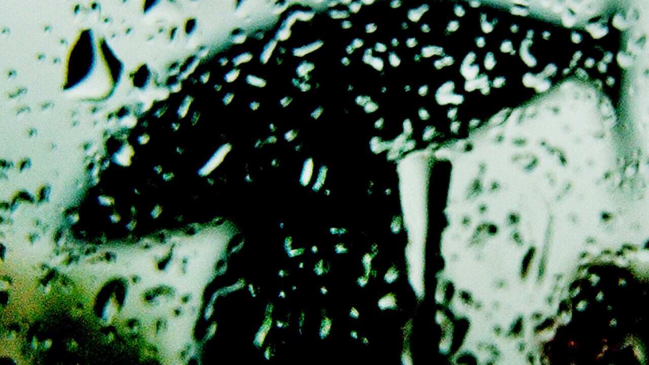 An umbrella in the rain