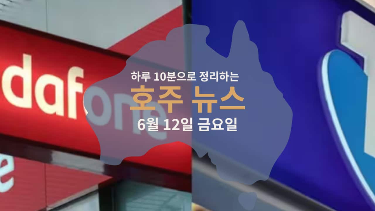 Daily News (7).png