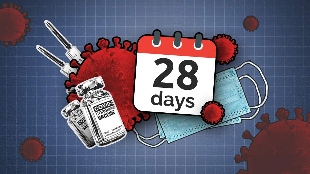 COVID-19 spike proteins, vaccine vials, needles, face masks, and a calendar with "28 days" written on it are arranged on a blue checked background
