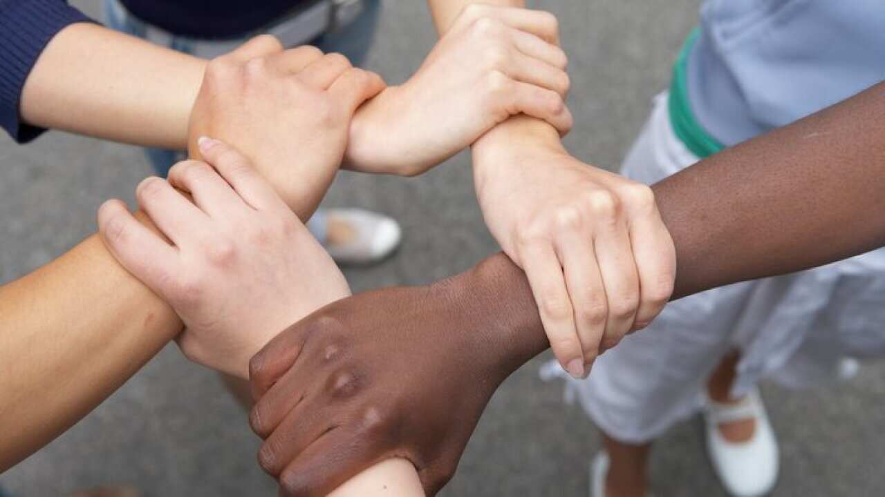 hands - handshake