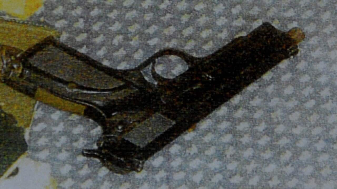Gun_file_200411_B_AAP_28663343