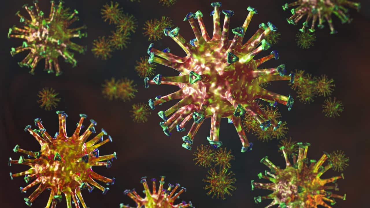 A 3-D render of the COVID-19 virus.