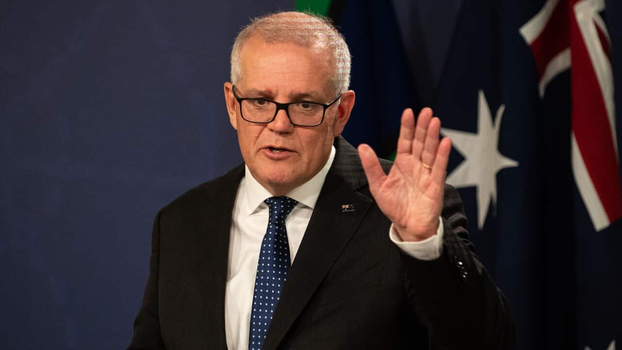 SCOTT MORRISON PRESSER