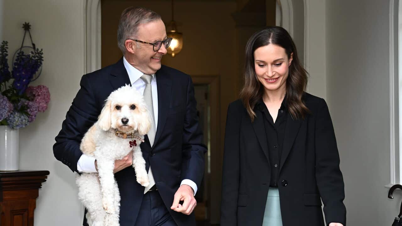 Anthony Albanese, dog Toto and Sanna Marin (AAP).jpg