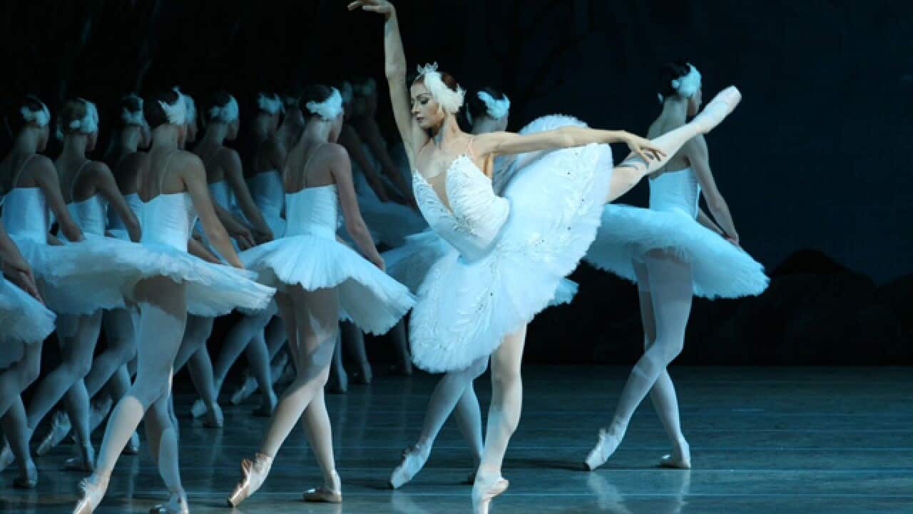 Swan_Lake_368047774