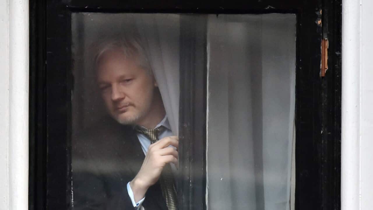 WikiLeaks founder Julian Assange