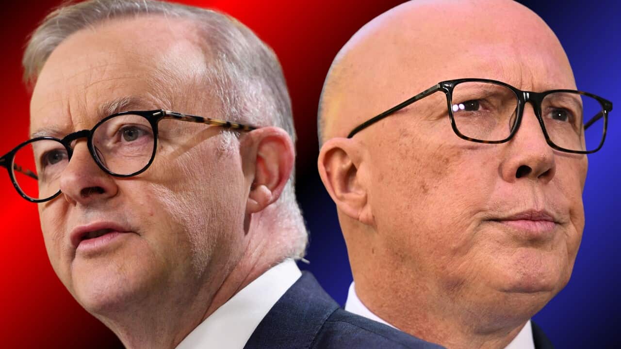 Image for read more article 'RELATED CONTENT'