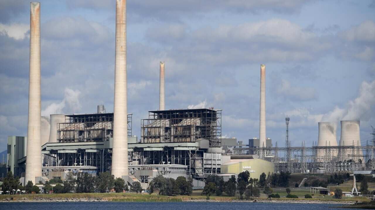 Liddell power station in Muswellbrook, NSW