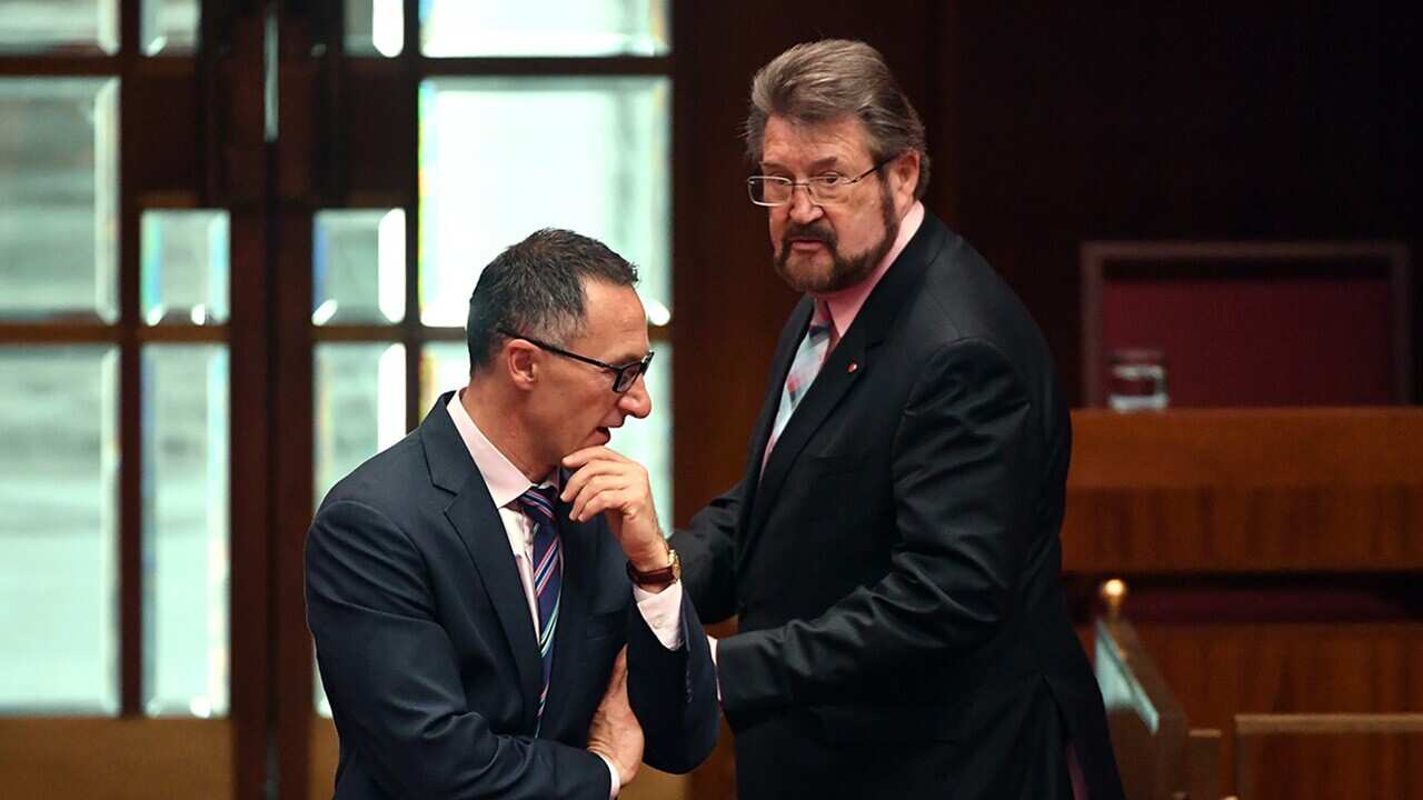 Australian Greens leader Richard Di Natale