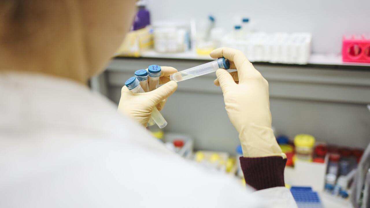 Person Holding Test Tubes, laboratory