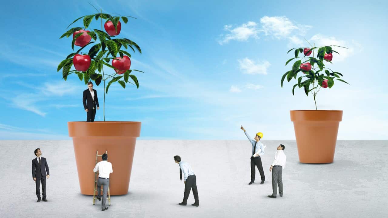 businessmen, miniature, apple tree