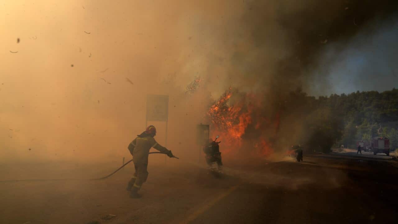 Image for read more article 'READ MORE'